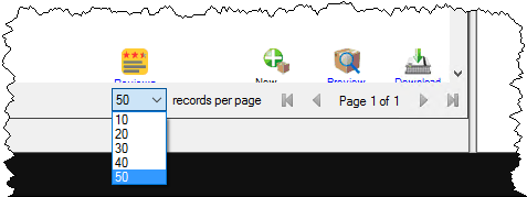 records per page.png
