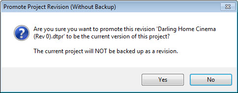 promote revision without backup.jpg